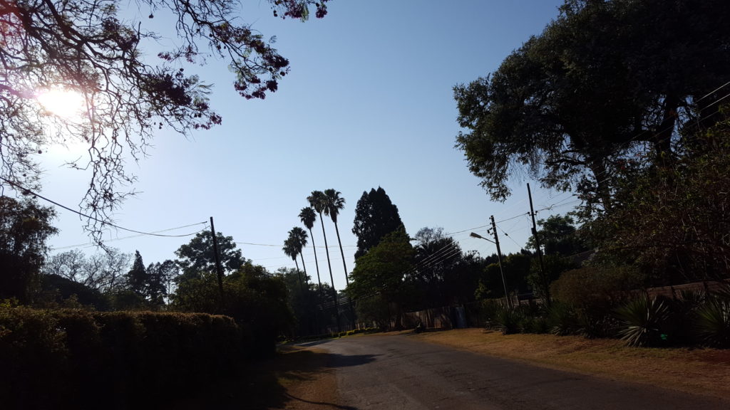 Meine Nachbarschaft in Harare: breite Straßen, Villengrundstücke, vertrocknetes Gras, Palmen, blauer Himmel
